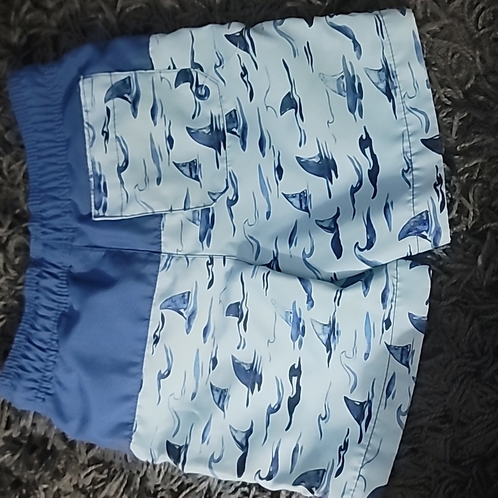 🏊‍♂️Biys Size 3T Swim Trunks🏊‍♂️ - Picture 3 of 4
